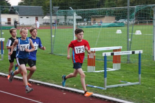 IMG_290.JPG