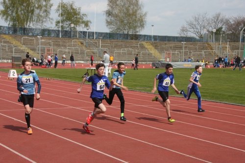 IMG_8461.JPG