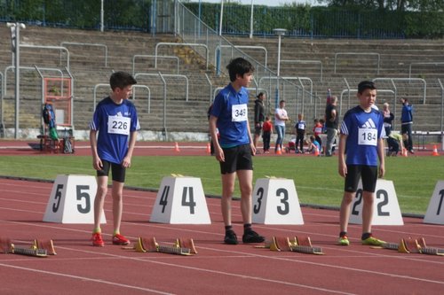 IMG_8501q.JPG