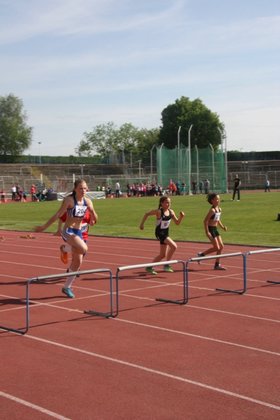 IMG_8501x.JPG