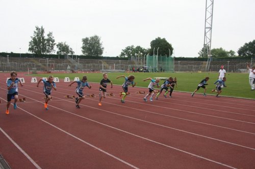 IMG_8809.JPG