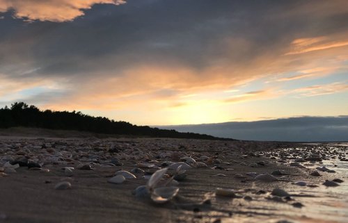 IMG-20180501-WA0023.jpg