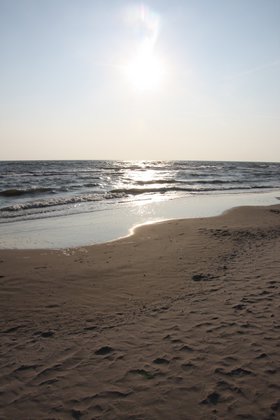 IMG_9535.JPG