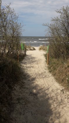 IMG_9556h.jpg