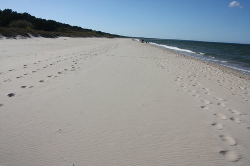 IMG_8346.JPG