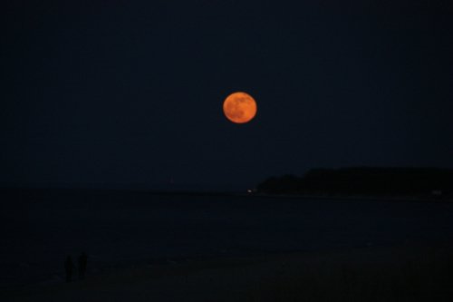 IMG_8388.JPG