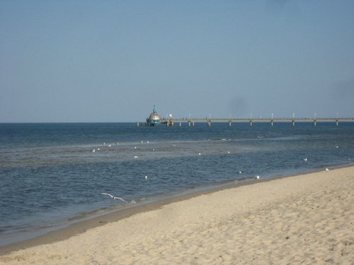 zi 030.jpg
