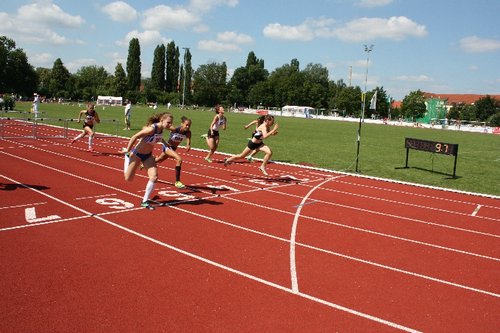 173.JPG