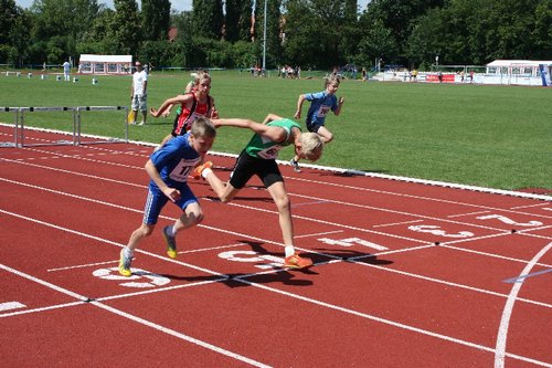 174.JPG