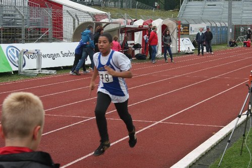 IMG_8365.JPG