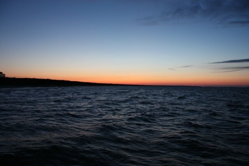 IMG_0342.JPG
