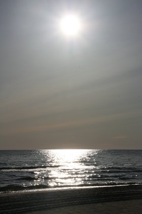 IMG_0353.JPG