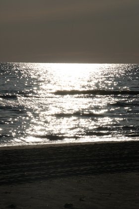 IMG_0354.JPG