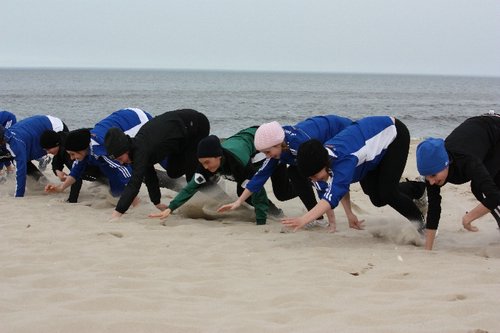 DSC02816d.JPG