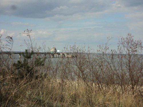 DSC05955.JPG