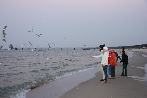 DSC05985f.JPG