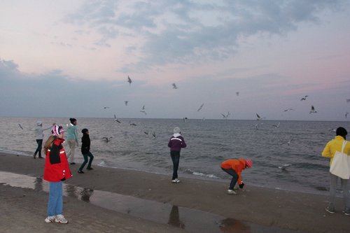 DSC05985j.JPG