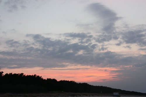 DSC05985r.JPG