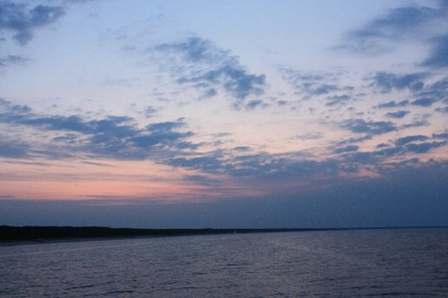 DSC05985yy.JPG