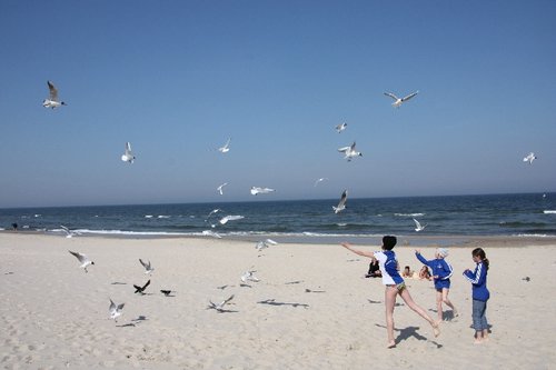 DSC05990m.JPG
