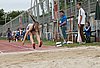 IMG_0416.jpg