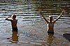 IMG_0436.JPG