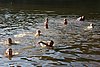 IMG_0441.JPG