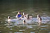 IMG_0443.JPG