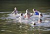 IMG_0445.JPG