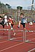 IMG_8501t.JPG