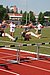 IMG_8510v.JPG