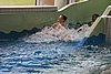 IMG_9462.JPG