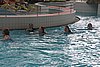 IMG_9469.JPG
