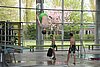 IMG_9477.JPG