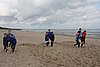 IMG_9516.JPG