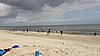 IMG_9527c.jpg