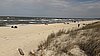 IMG_9556i.jpg