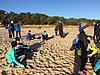 IMG_7121.JPG