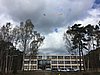 IMG_8113c.JPG