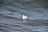 IMG_8362.JPG