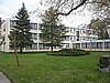 zi 020.jpg