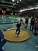 DSC02524.JPG