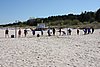 IMG_0125.JPG