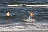 IMG_0187.JPG