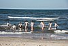 IMG_0211.JPG