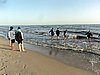 DSC02778.JPG