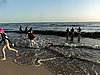 DSC02779.JPG