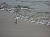 DSC02803.JPG