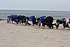 DSC02816c.JPG
