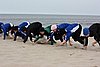 DSC02816d.JPG